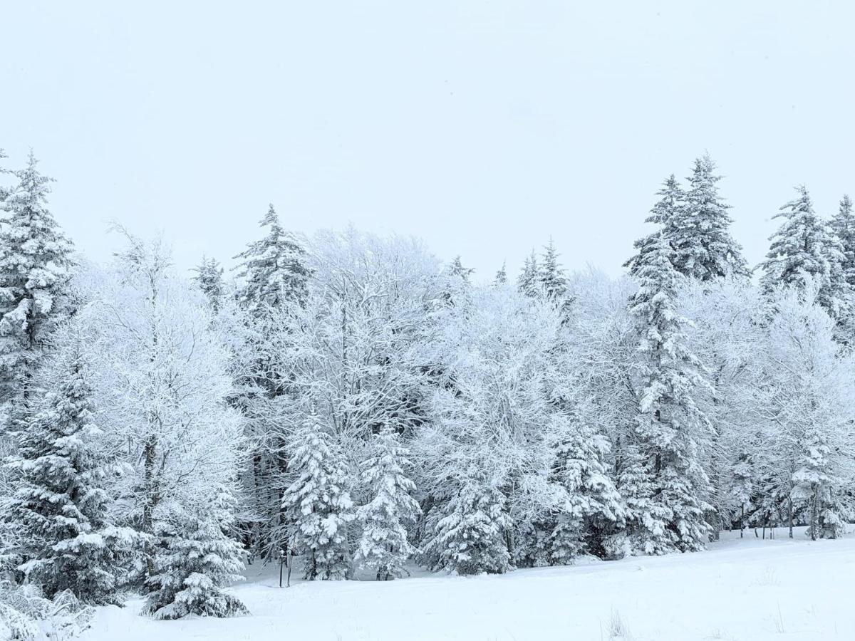Snowshoe Ski-In & Ski-Out At Silvercreek Resort - Family Friendly, Jacuzzi, Hot Tub, Mountain Views ภายนอก รูปภาพ